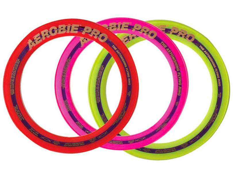 Aerobie Pro 13"