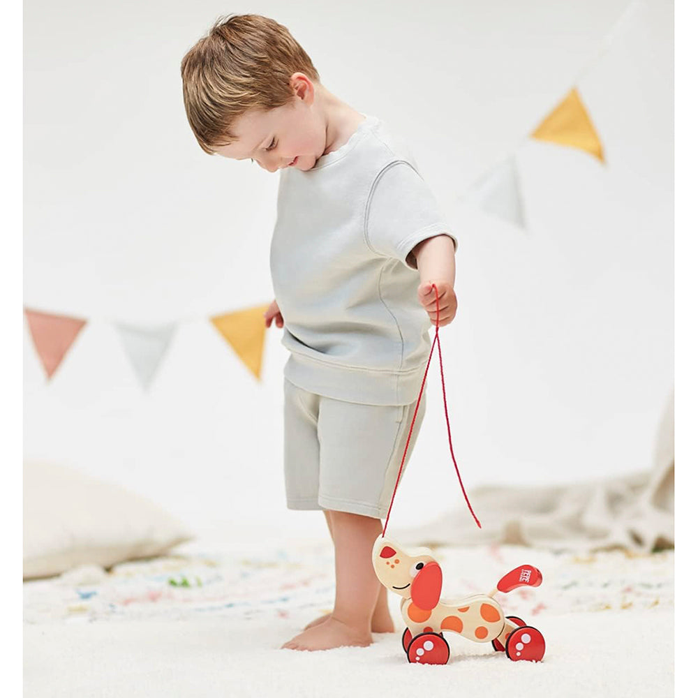 Hape Pepe Pull Along Dog