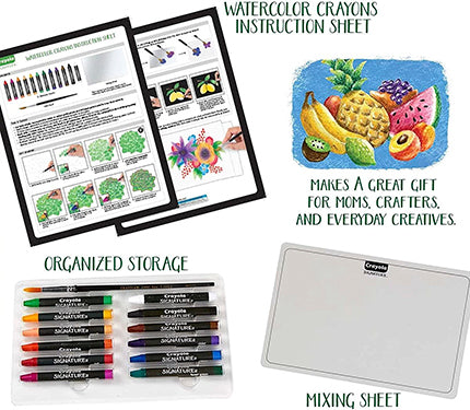 Crayola Signature Watercolour Crayons 12 Pack