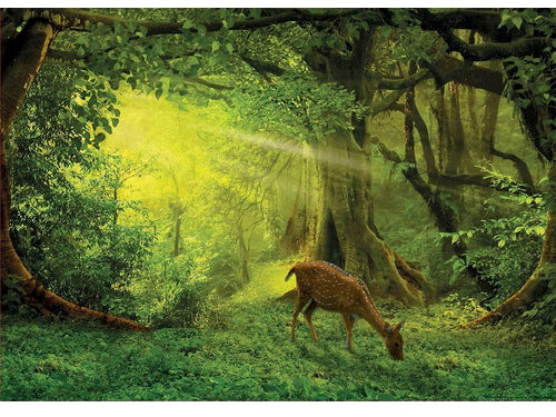 Educa Little Deer Puzzle 500pc