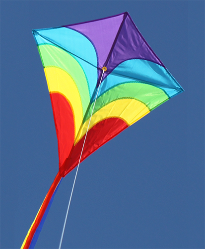 Waves Diamond Kite