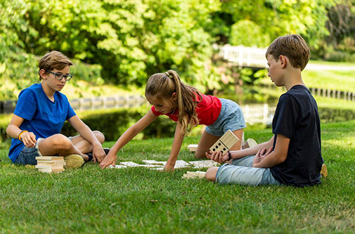 Formula Sports Large Wooden Dominoes 28 Tiles