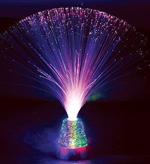 Wheeler's Fibre Optic Lamp