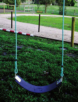 Heavy Duty Strap Swing (Slashproof)