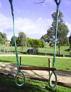 Trapeze With Rings