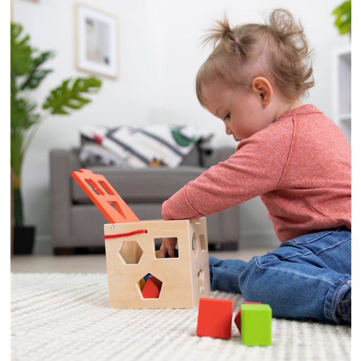 Take-Along Shape Sorter