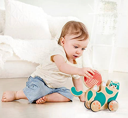 Hape Roll & Rattle Kitten