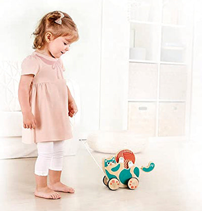 Hape Roll & Rattle Kitten