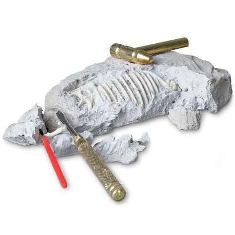 Tyrannosaurus Paleontology Kit