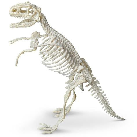 Tyrannosaurus Paleontology Kit