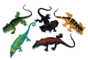 Reptile Set