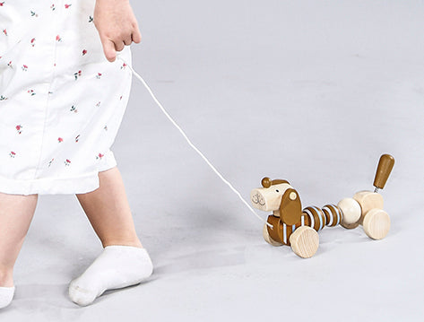 Calm & Breezy Pull Along Sausage Dog