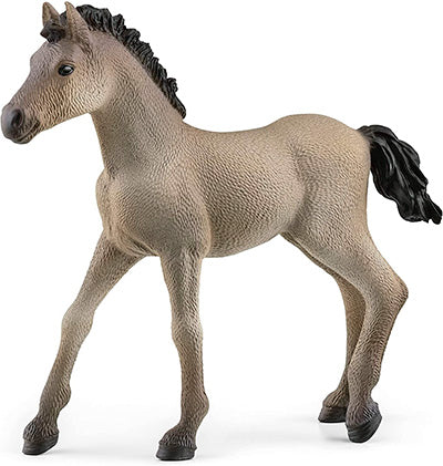 Schleich - Criollo Definitivo Foal