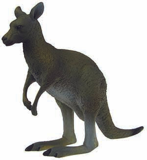 Kangaroo Large