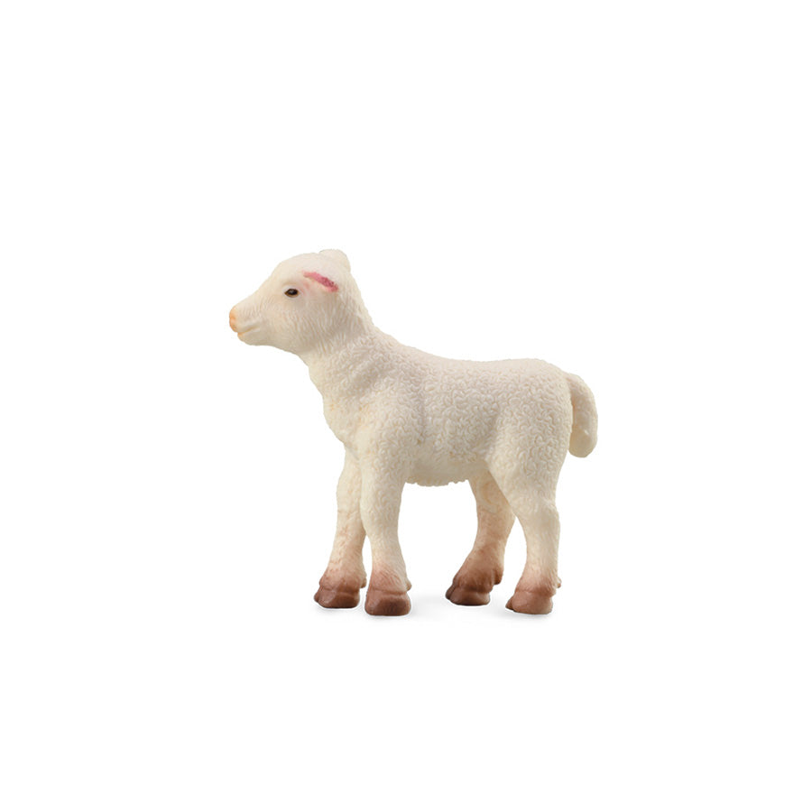 Collecta Lamb