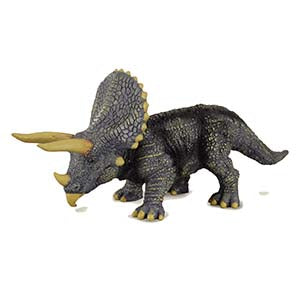 Triceratops