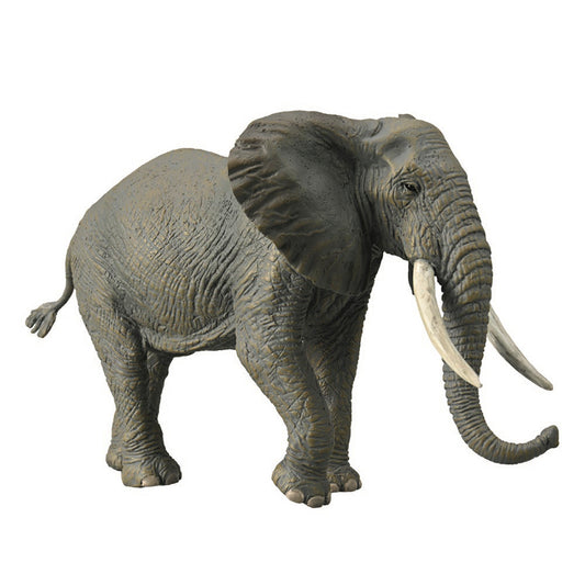 Collecta African Elephant