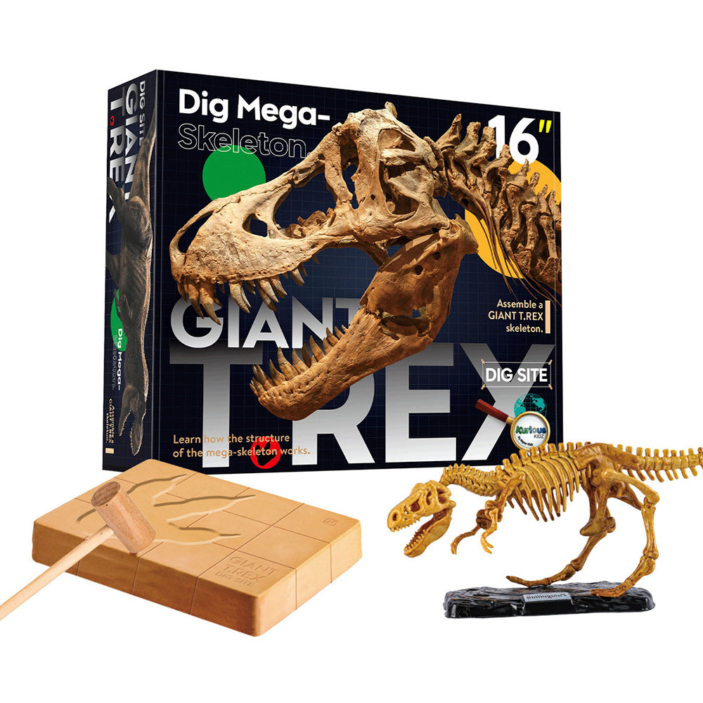Rex Windmill Giant T-Rex Dig Site – Windmill Educational Toys