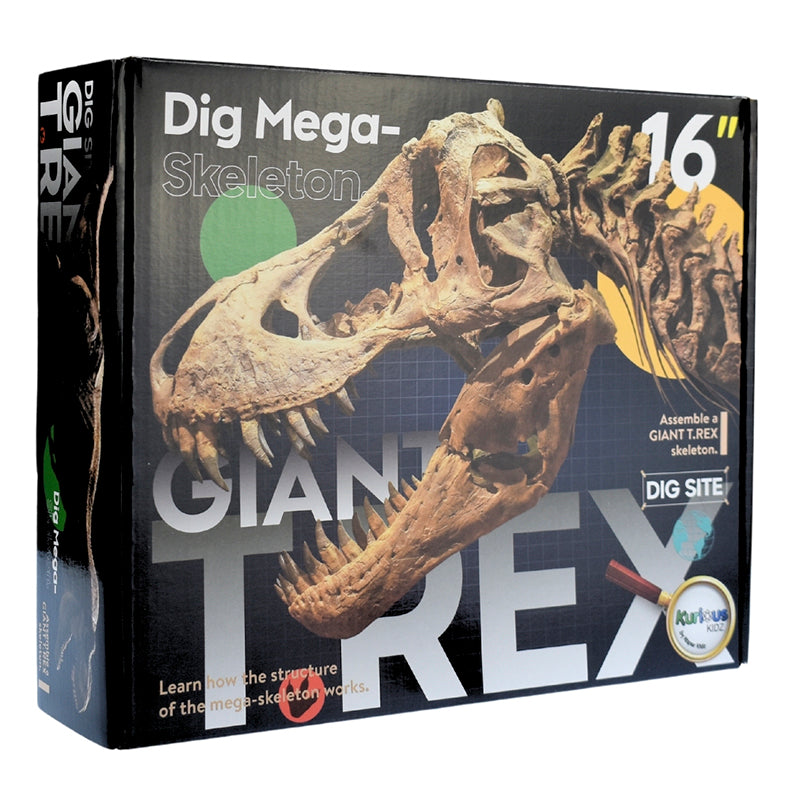 Giant T-Rex Dig Site