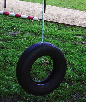 Vertical Tyre Swing