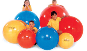 Physio Ball 65cm