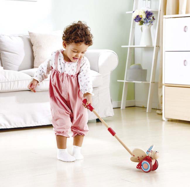 Hape Butterfly Push Pal