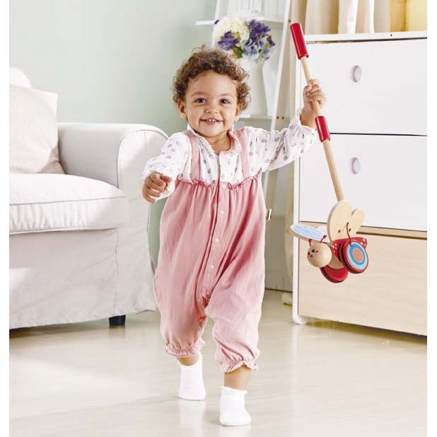 Hape Butterfly Push Pal