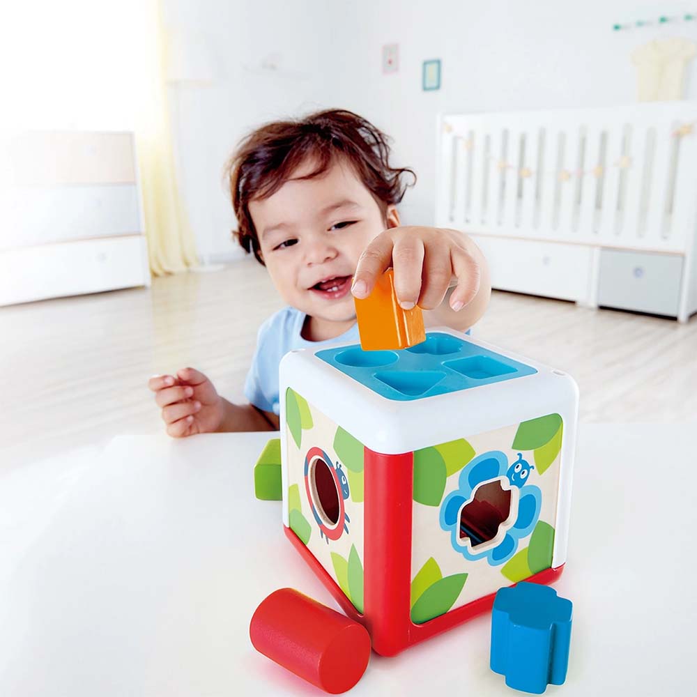 Hape Shape Sorting Box