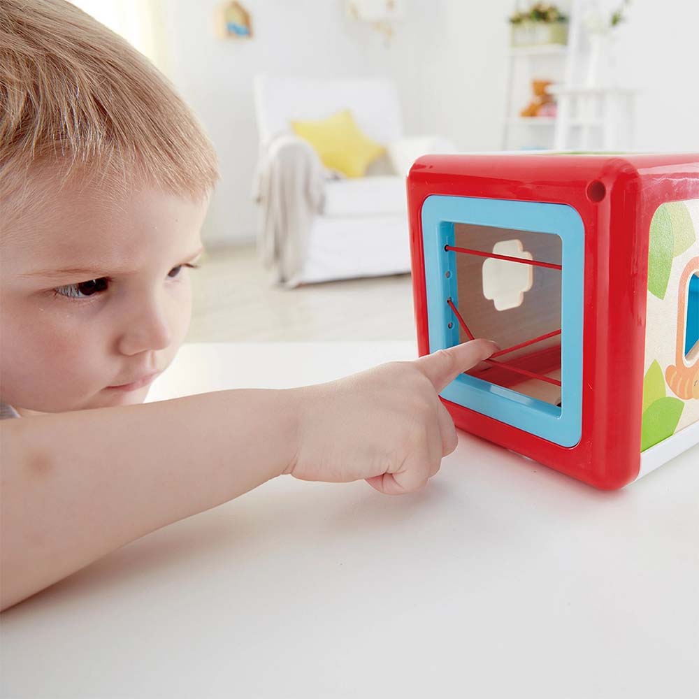 Hape Shape Sorting Box
