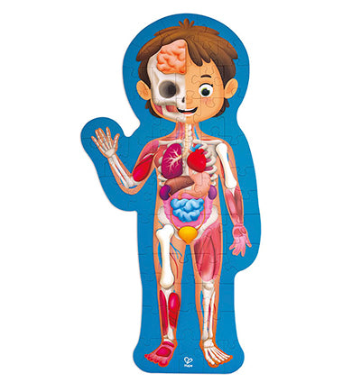 Hape Human Body Puzzle