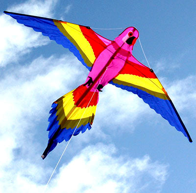 Lorikeet Kite