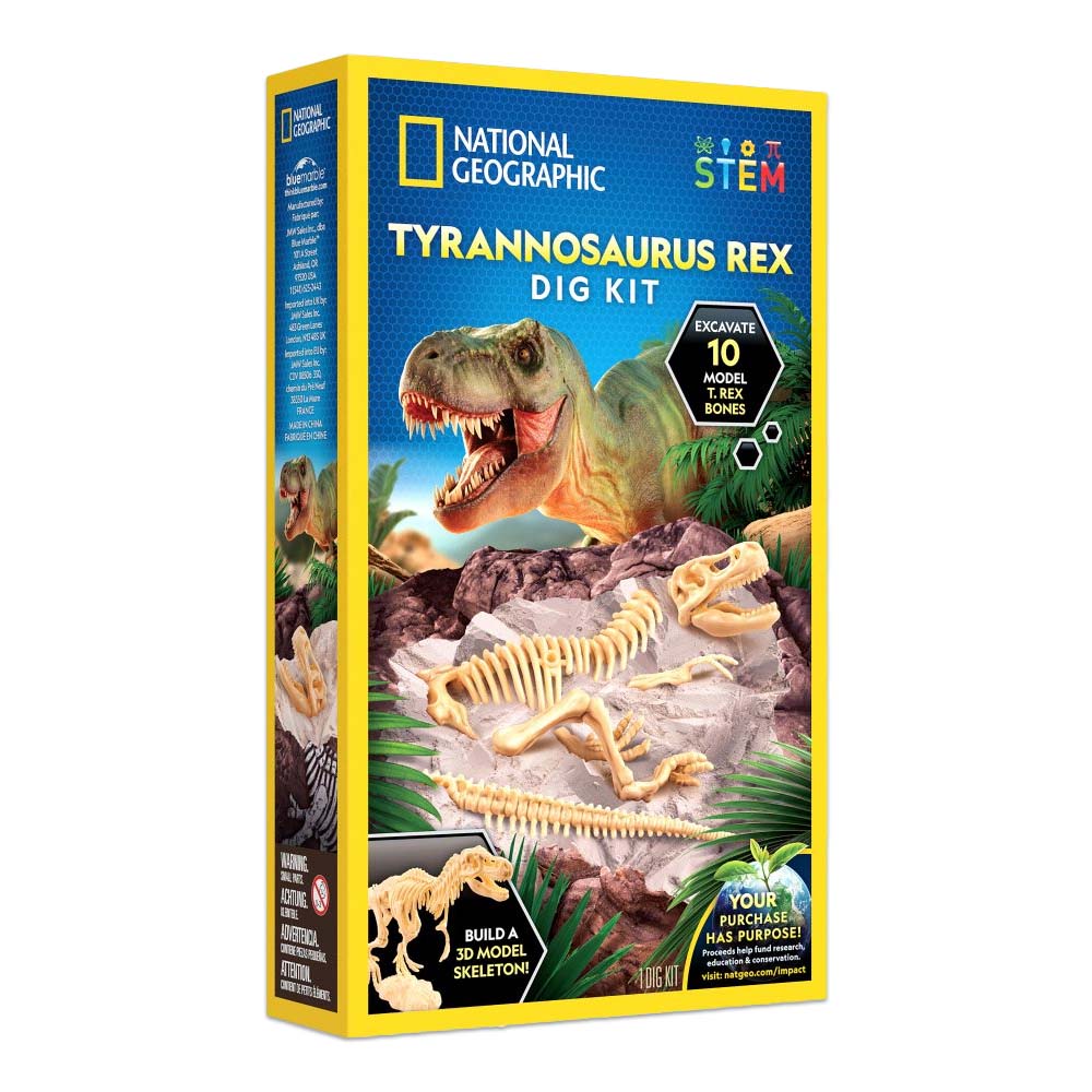 Rex Windmill Tyrannosaurus Rex Dig Kit – Windmill Educational Toys