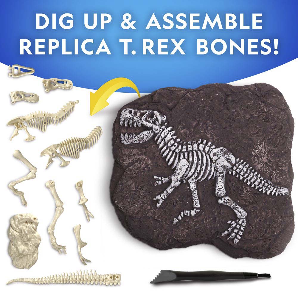 Rex Windmill Tyrannosaurus Rex Dig Kit – Windmill Educational Toys