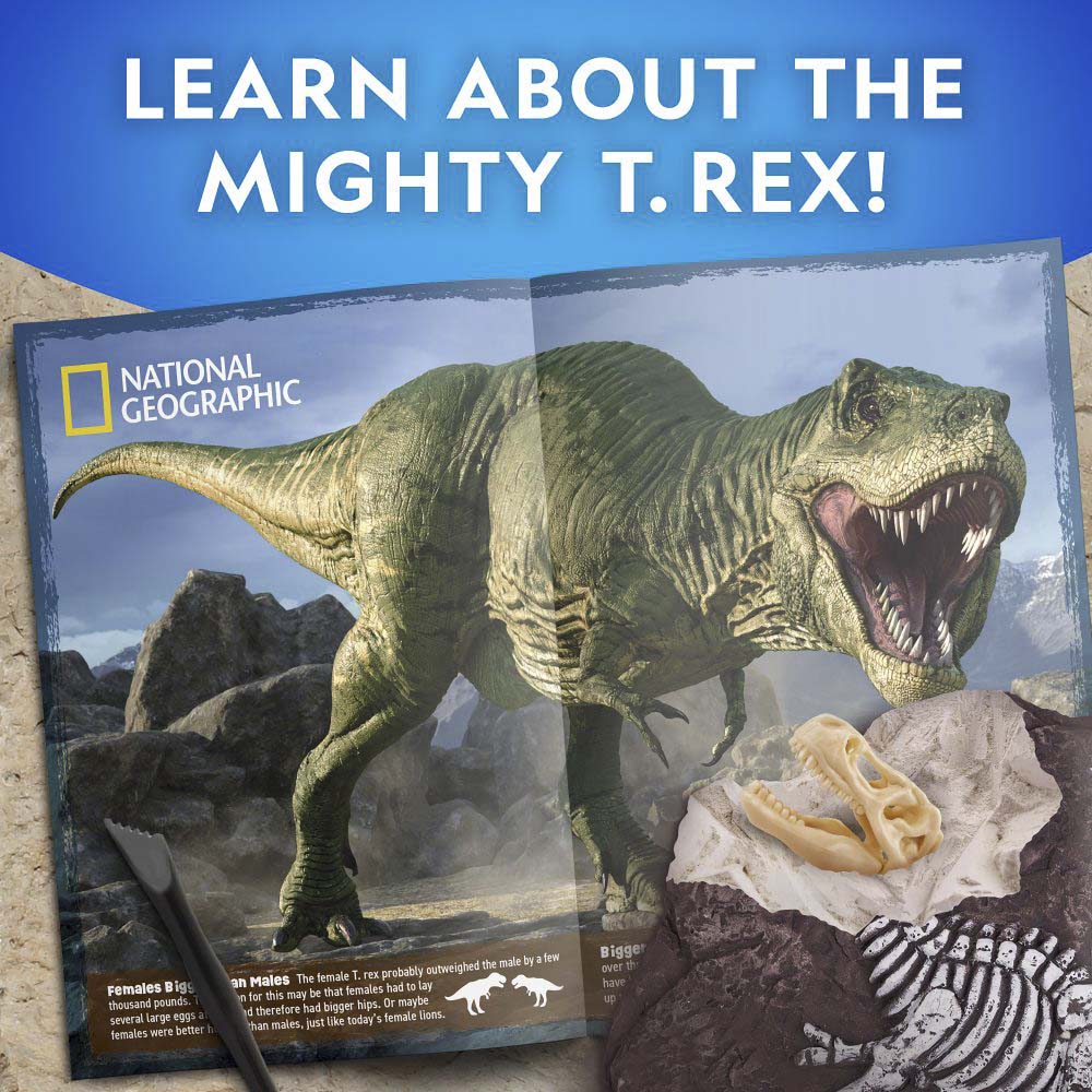 Rex Windmill Tyrannosaurus Rex Dig Kit – Windmill Educational Toys