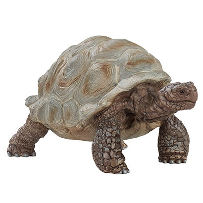 Schleich- Giant Tortoise
