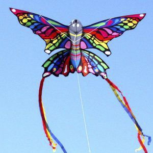 Rainbow Butterfly Kite